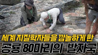 80여 마리 공룡이 한 장소에 나타난 이유는?