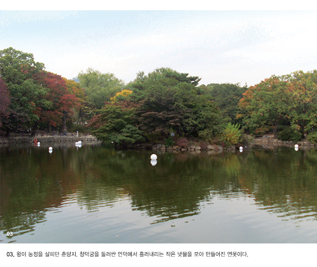 03.‘왕이 농정을 살피던 춘당지. 창덕궁을 둘러싼 언덕에서 흘러내리는 작은 냇물을 모아 만들어진 연못이다.