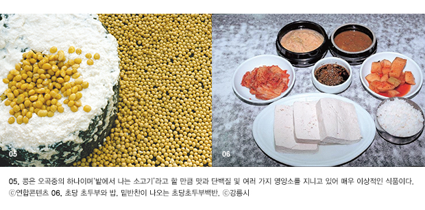 05. 콩은 오곡중의 하나이며‘밭에서 나는 소고기’라고 할 만큼 맛과 단백질 및 여러 가지 영양소를 지니고 있어 매우 이상적인 식품이다. ⓒ연합콘텐츠 06. 초당 초두부와 밥, 밑반찬이 나오는 초당초두부백반. ⓒ강릉시